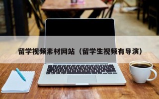 敦煌留学视频素材网站（留学生视频有导演）