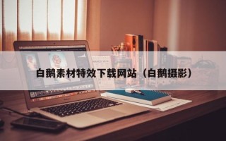 敦煌白鹅素材特效下载网站（白鹅摄影）